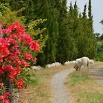 Borgo Piazza Country Farm 3* Borgia