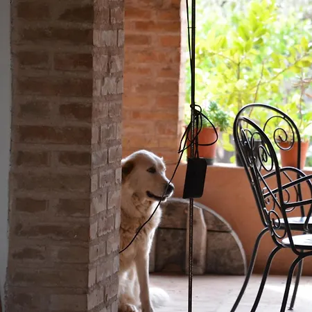 Borgo Piazza Country Farm Bed & Breakfast Borgia