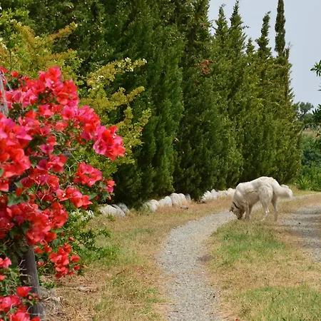 Borgo Piazza Country Farm 3* Borgia