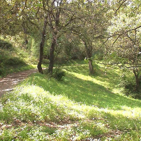 Borgo Piazza Country Farm Bed & Breakfast Borgia
