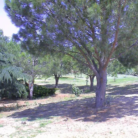 Borgo Piazza Frühstückspension 3*