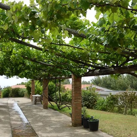 Bed & Breakfast Borgo Piazza Country Farm